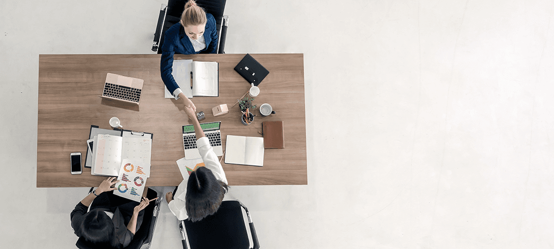 Project/Program Management